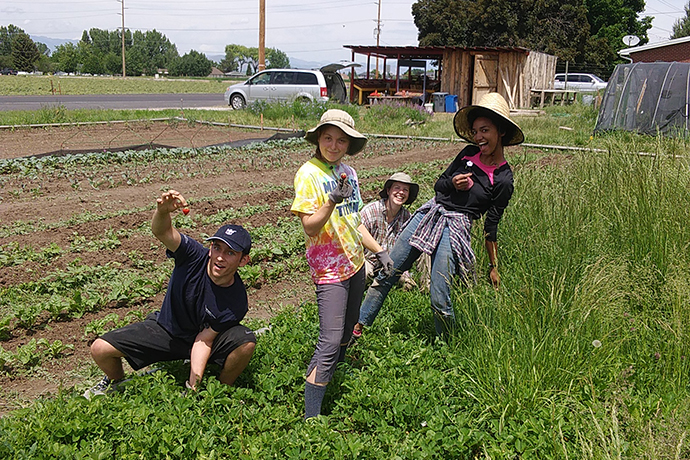 Students in field at orgainc farm.