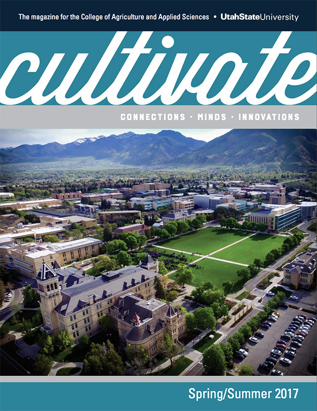 Cultivate Summer 2015