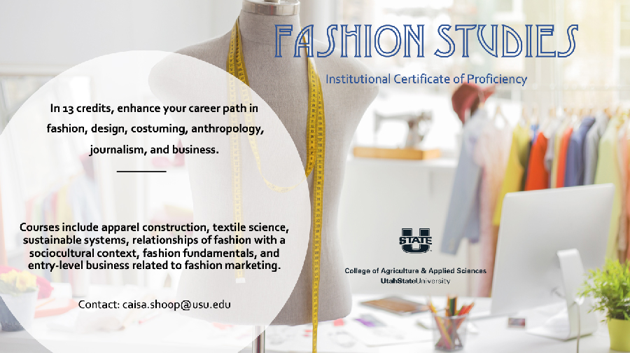 Fashion Studies Information