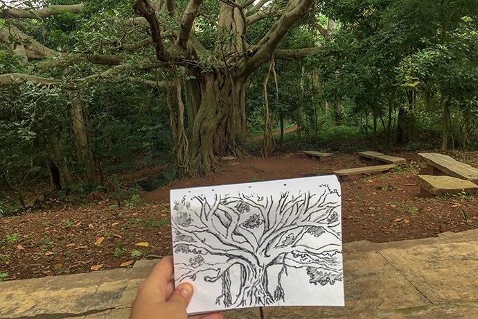 Sketch of a tree