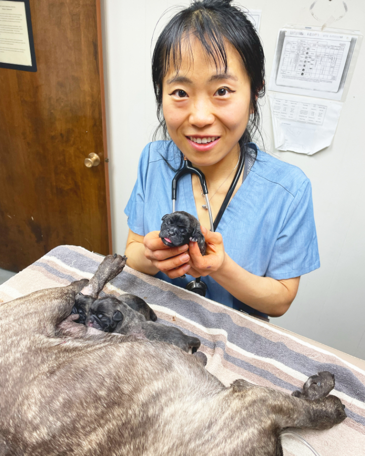 Scyler Li with a newborn puppy